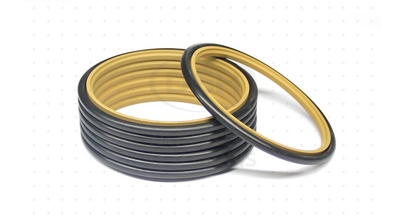 清洗设备密封解决方案—斯特封DSJ