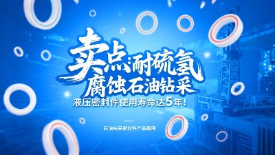 卖点‌：耐硫化氢腐蚀！石油钻采液压密封圈使用寿命达5年！
