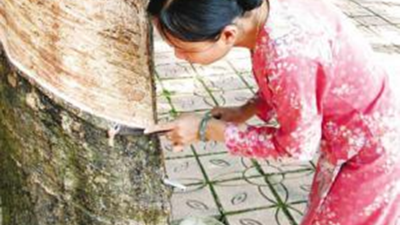 天然合成橡胶制品密封件的材料材质都有什么分类？