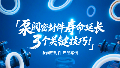 泵阀密封圈寿命延长的3个关键技巧！‌