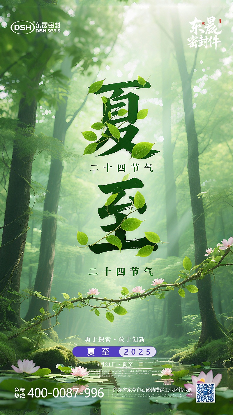 夏至节气2025年6月21日二十四节气-东晟密封件-(2)-副本11