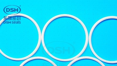 液压缸中用的防尘密封圈