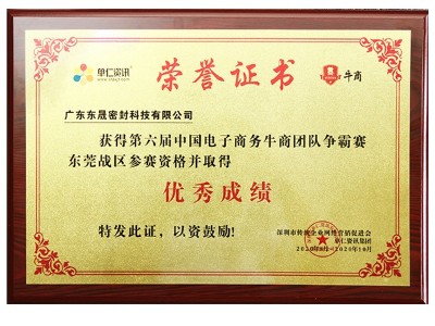 优秀成绩证书-东晟唇形密封圈
