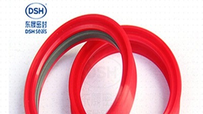 旋转密封件密封失效的原因和解决方法