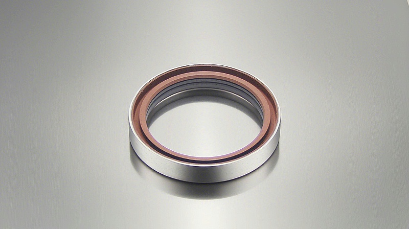 氟橡胶骨架油封---一种由氟橡胶密封材质制成的骨架型油封密封件，广泛应用于各大行业中，如化工行业等