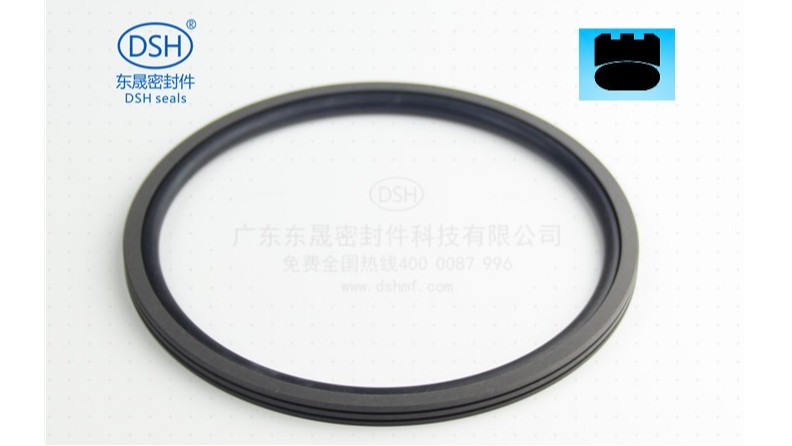 机电设备旋转密封解决方案-孔用旋转格莱圈DNS