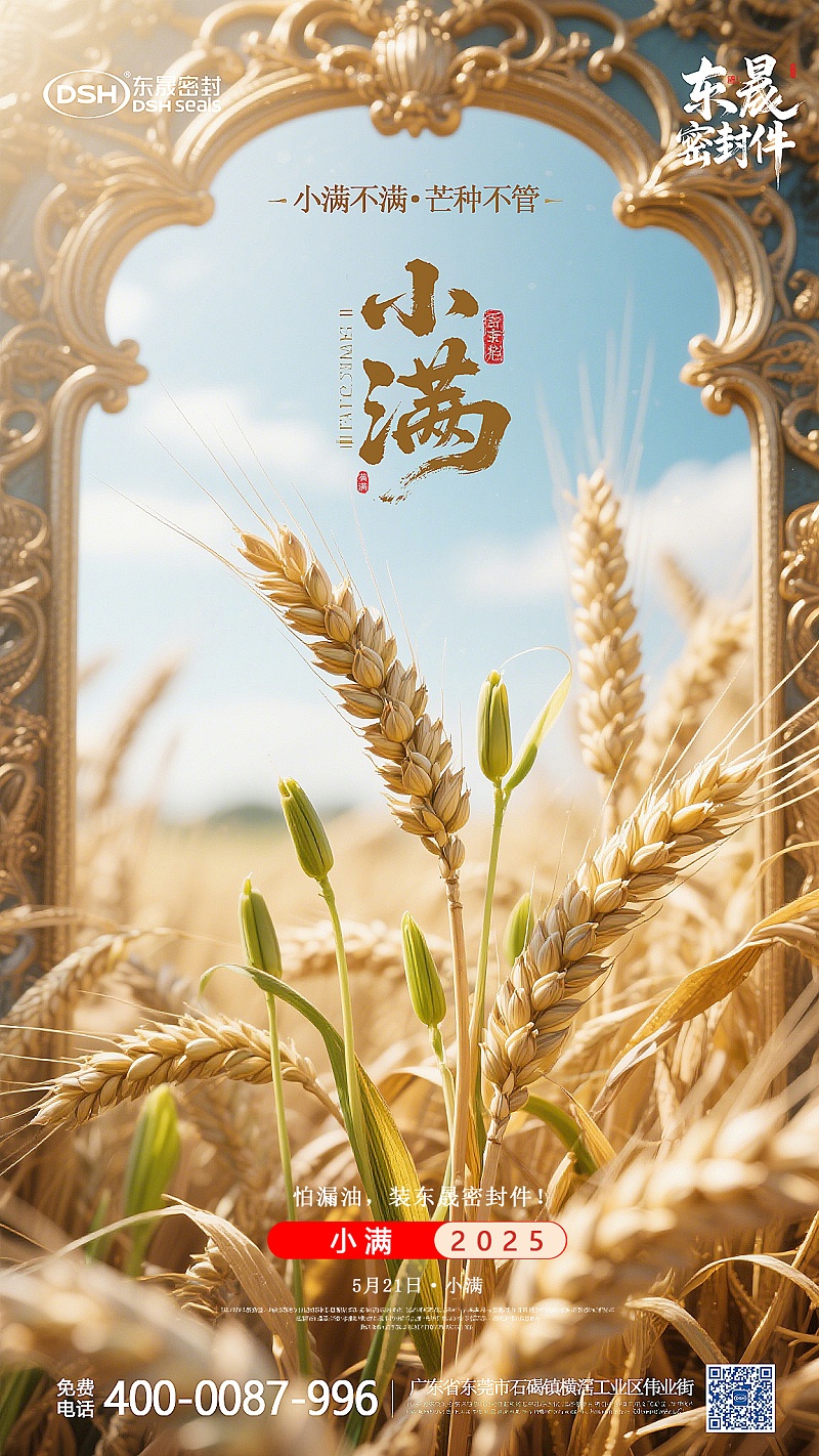 小满节气-五月21日东晟密封件 (1)