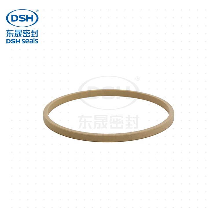 DSF孔用格莱圈 DSF孔用格莱圈