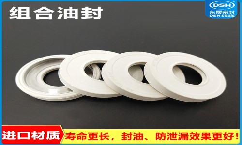 组合油封