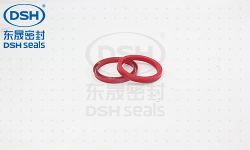 弹簧蓄能密封圈