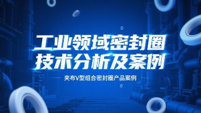 夹布V型组合密封圈 ® 工业领域密封圈技术分析及案例！